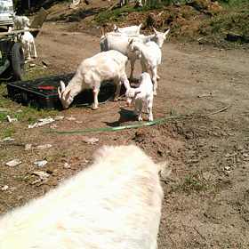 こんにちは(^^)/の画像