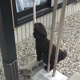 こだわり？の画像