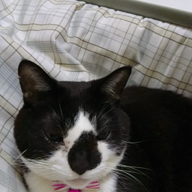 今日もありがとうの画像