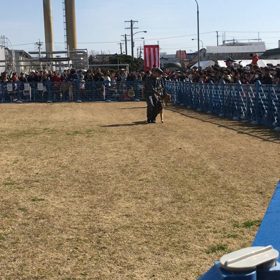 美音不思議体験の画像