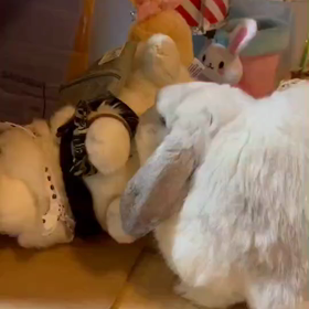 たまにはそんな時も…の画像