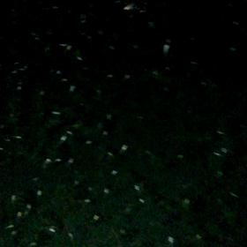 お試し投稿の画像