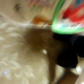 雨ですが(笑)の画像