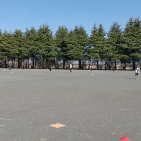 4月2日 10色リレー⑩の画像