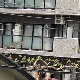 騒音／チェーンソー2の画像