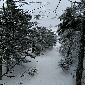 雪山は下山が楽しい  八ヶ岳連峰・北横岳(動画①)の画像