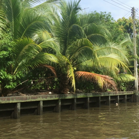 ニャンニャン日記、タイ、水上マーケット(^O^)／✨‼️の画像