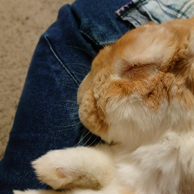 教えてくれてありがとうございますの画像