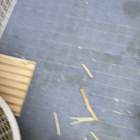 これは何！？の画像