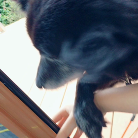 その動き可愛いんだけどの画像