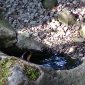 先客が...♡の画像