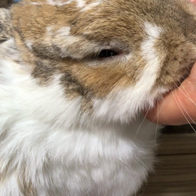 晴れの土曜日の画像