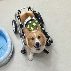 ♪プレイルーム動画♪の画像