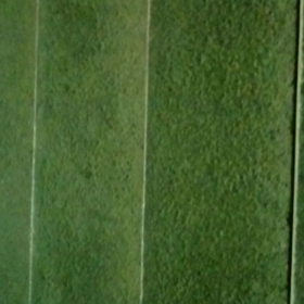 縮景園～(^-^)/の画像