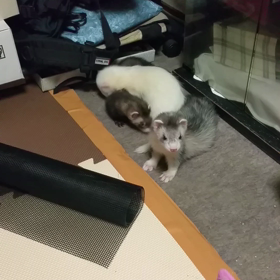 ぐりとぐらとぐるの画像