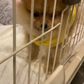 風邪引きました。の画像