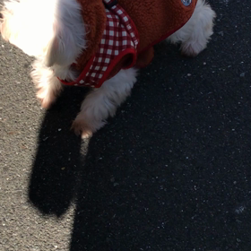 おまけでーすの画像