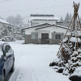 お➖‼️本格的に降って来た➖‼️の画像