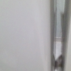 ボールがほしい犬の画像