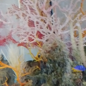 三時間半待ちだと！の画像