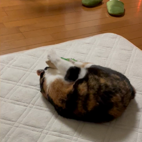 けりっ、けりっ！の画像