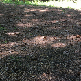 午前はこんな感じです。の画像