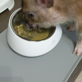 トイレ失敗しまくりの画像