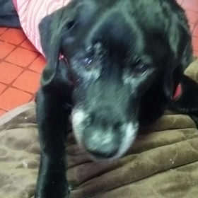 第２段♪の画像