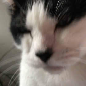 おはよぉの画像
