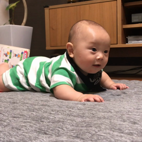 うたくん動画の画像