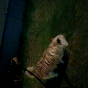 久しぶり～♡動画その２の画像