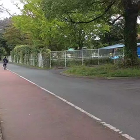 リレー選考会（ゴール付近）⑤の画像