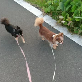 今日も元気です。の画像