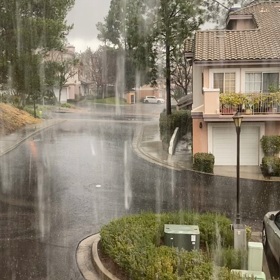 また雨です。の画像