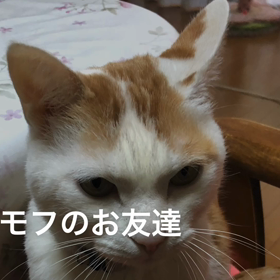 なんだこれは？の画像