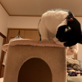 やる気出してみてもらっていいでしょうか（笑）の画像