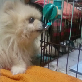 ｻﾌﾞﾛｳとﾅﾂｵの居る風景 その5の画像