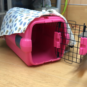 まぁ、入れたならいっさ。の画像