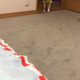 薬がない…病院が混んでて諦める。デールにゃんとマリーにゃん。の画像