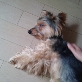 くう14歳と8ヶ月☆の画像