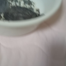 イシガメでゎなくの画像