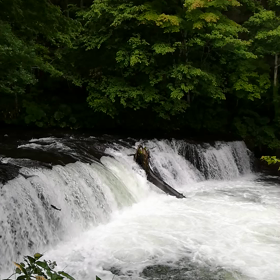 A先生とB先生の画像