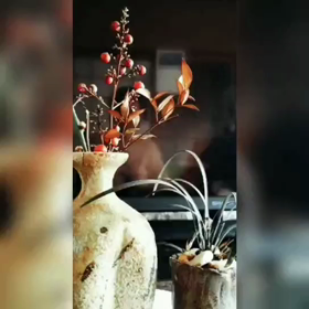 2021、02、09の画像