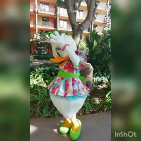 アウラニ　デイジーの画像