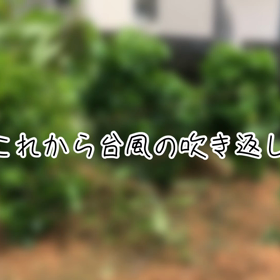 メイサークの脅威はまだまだ続く。。。の画像