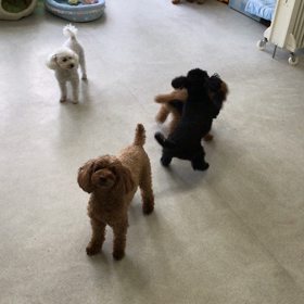 ♪プレイルーム動画♪②の画像