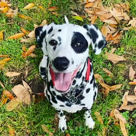 今夜はテレ東　"ソロ活" ゲスト出演します！の画像