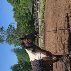 6月13日 フリージャンプの画像