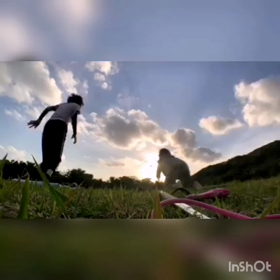 大自然の中でサンセットヨガ。の画像