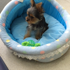 ♪プレイルーム動画♪②の画像